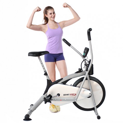 Xe Äạp táºp thá» dục liên hoà n Äại Viá»t DV-6412