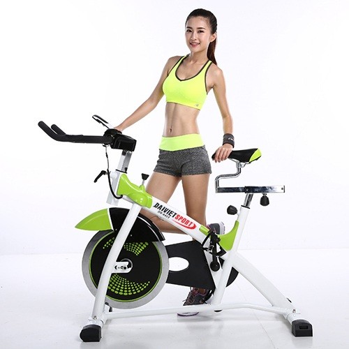 Xe Äạp táºp thá» thao Äại Viá»t DV-6413