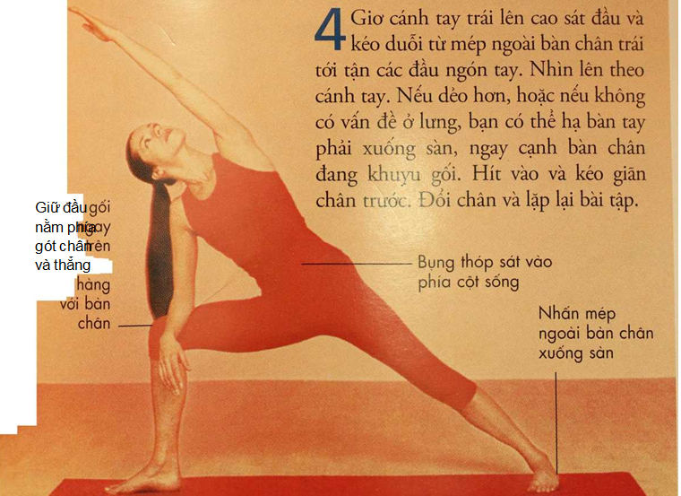4 động tác cơ bản trong yoga 2
