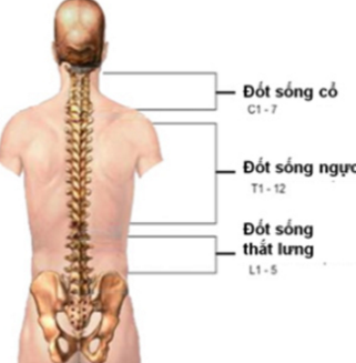 Chữa thoát vị đĩa đệm bằng xà đơn