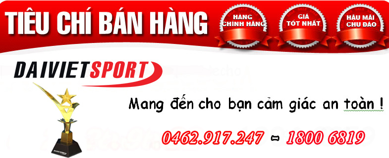 Tiêu chí bán hàng tại Đại Việt Sport