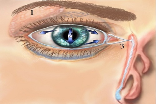 Dị ứng có làm bệnh nhân bị khô mắt?