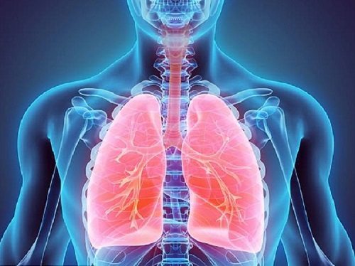 Bạn đã biết cách bảo vệ đường hô hấp?