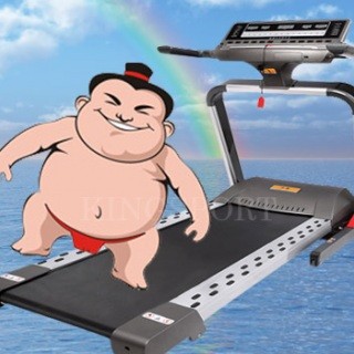 Máy chạy bộ điện SUMO 2013 - USA