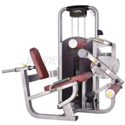 Máy đá móc đùi trước MV-013