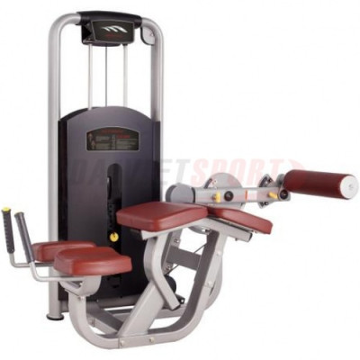 Máy móc đùi sau MV-013A