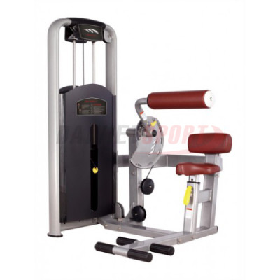 Máy tập bụng MV-010