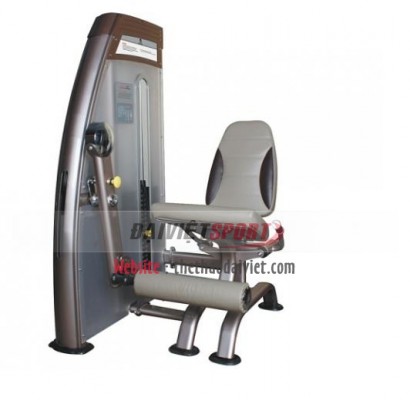 Máy tập cơ chân sau 9009
