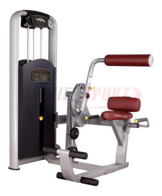 Máy tập lưng MV-009