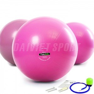 Bóng yoga Pseudois trơn phi 65