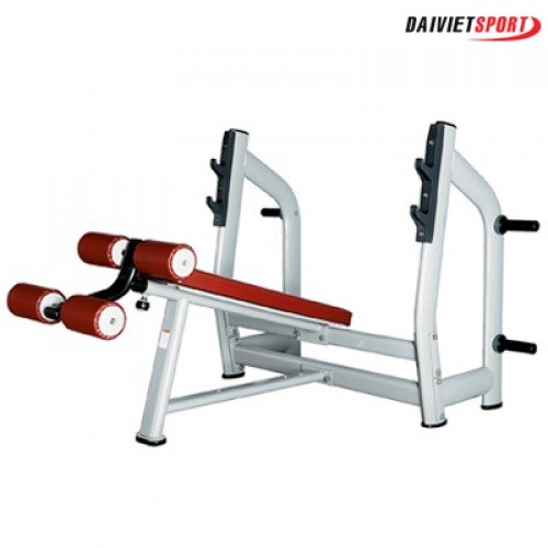 Ghế đẩy ngực dưới H-024