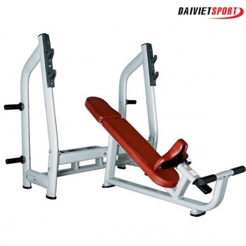 Ghế đẩy ngực trên H-025
