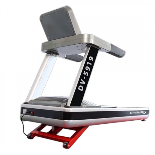 Máy chạy bộ điện chuyên dụng Đại Việt DV-5919