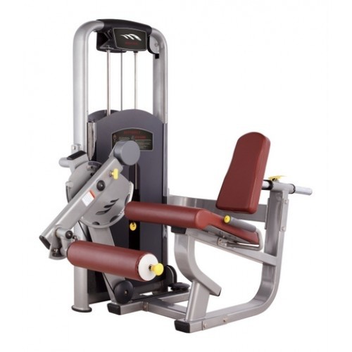 Máy đá đùi trước MV-014