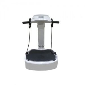 Máy rung đứng Royal-8039