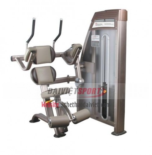 Máy tập cơ bụng 9011