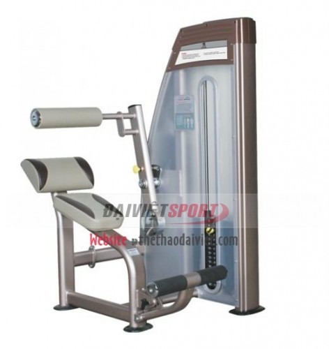 Máy tập cơ lưng, bụng 9010