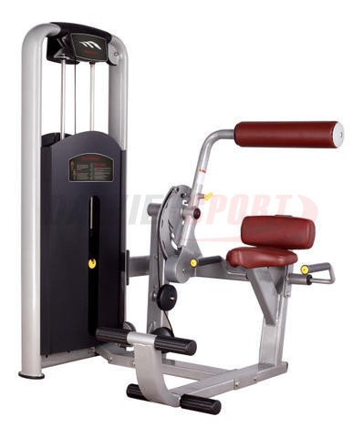 Máy tập lưng MV-009