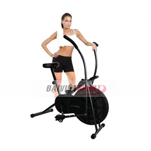 Xe đạp tập cơ Royal 965